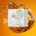 Trugge - PureFresh 5l Bag-in-Box Getränkekonzentrat